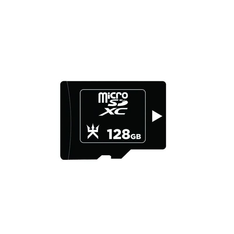 Carte MicroSD Alpha Omega Players 128 Go pour Nintendo Switch