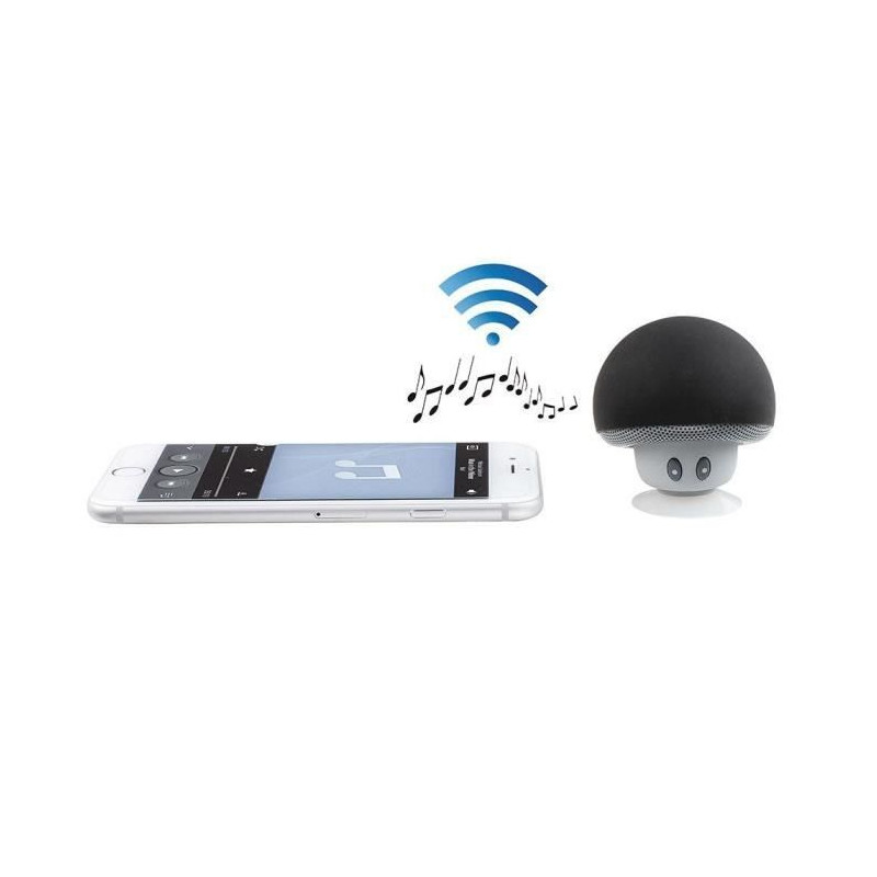 CLIPSONIC TES141N Mini Haut-parleur compatible Bluetooth - Noir
