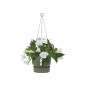 ELHO Pot de fleurs a suspendre Greenville 24 - Exterieur - O 23,9 x H 20,3 cm - Vert feuille