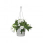 ELHO Pot de fleurs a suspendre Greenville 24 - Exterieur - O 23,9 x H 20,3 cm - Gris beton vivant