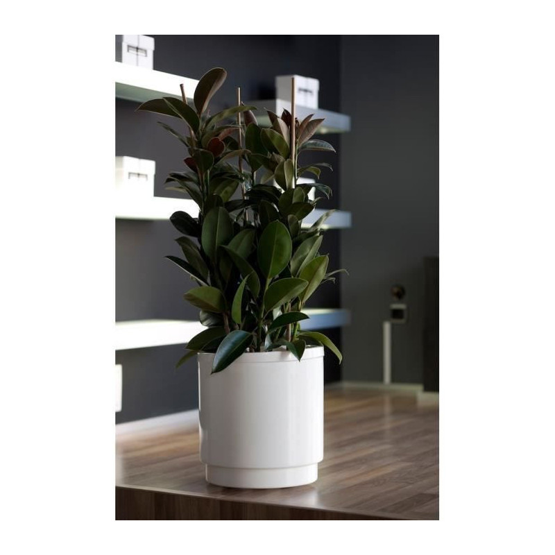 PLASTIKEN Pot de fleurs a reserve deau Hidrojardinera - O22 cm - Blanc