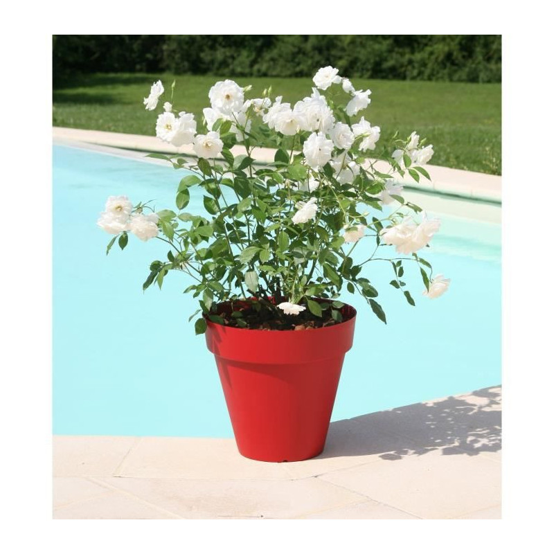 RIVIERA Pot de fleurs Soleilla -Rond - O 39,2 x 35,8 cm - Rouge