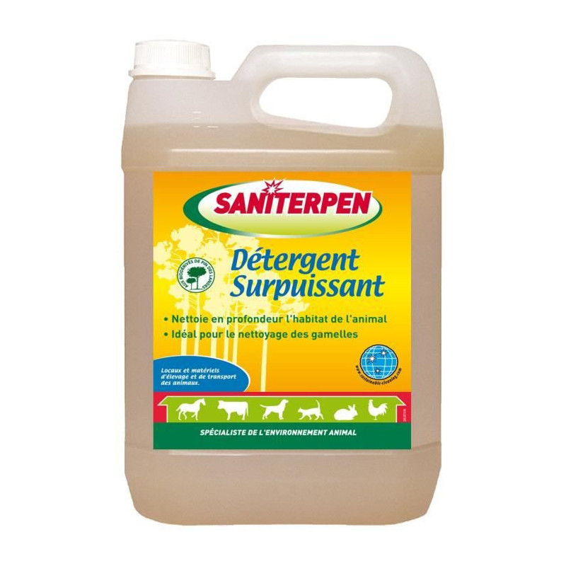 SANITERPEN Detergent Surpuissant - Nettoyant manuel ou haute pression - Pour lhabitat - 5 L