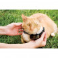 PETSAFE Cloture a fil special chat - collier a pile Deluxe In-Ground Cat Fence