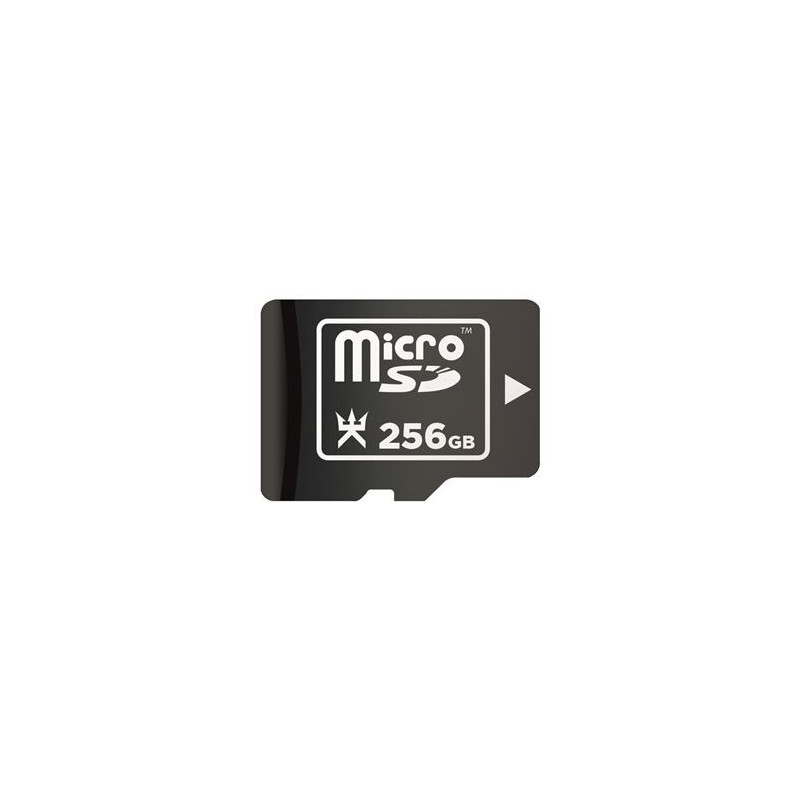 Carte mémoire Micro SD 256 Go pour Nintendo Switch Alpha Omega
