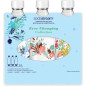 SODASTREAM Pack de 3 bouteilles de gazeification grand modele Winter flower - Motif de bouteilles aleatoires