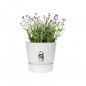 ELHO Pot de fleurs rond Greenville 25 - Exterieur - O 24,48 x H 23,31 cm - Blanc