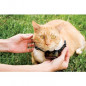 PETSAFE Collier supplementaire Special Chat