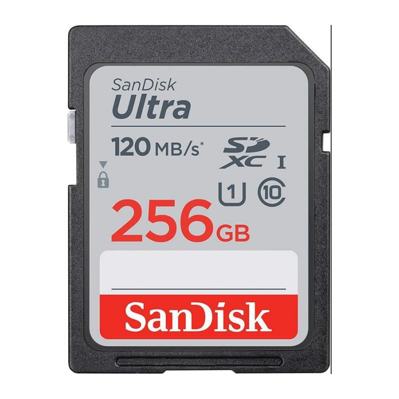 Carte memoire flash - SANDISK -  - 256GB -  -  SDSDUN4-256G-GN6IN