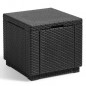 ALLIBERT JARDIN Table cube imitation rotin tresse avec rangement de 60 l - 42x42x39 cm - Graphite