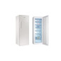CANDY CCOUS6172WH - Congelateur armoire - Froid statique - 242L - 170x60cm