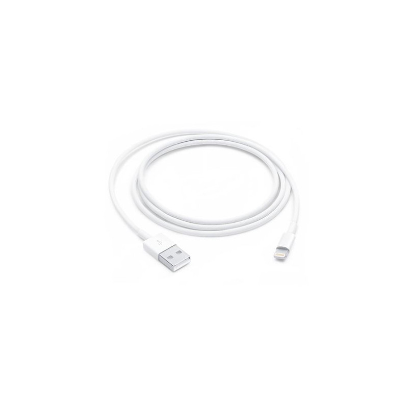 Câble Lightning USB Reborn 1m Blanc Reconditionné