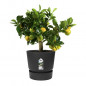 ELHO Pot de fleurs rond Greenville 25 - Exterieur - O 24,48 x H 23,31 cm - Vivre noir
