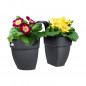 ELHO - Pot de fleurs -  Vibia Campana Flower Twin 21 - Anthracite - Balcon exterieur - L 38.4 x W 20.5 x H 26.5 cm