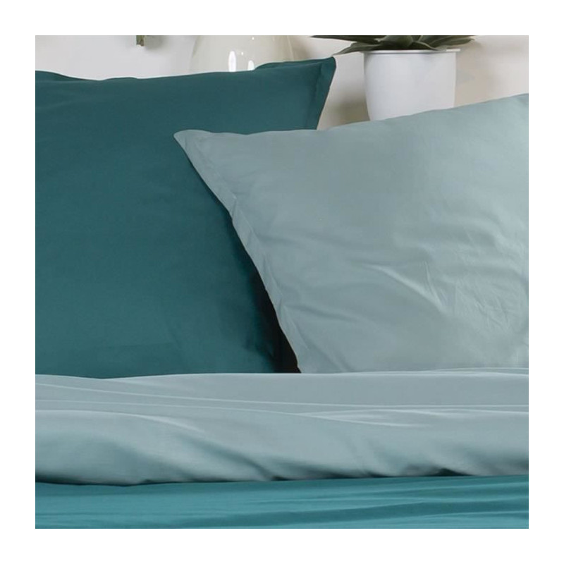 TODAY Parure de lit Coton 2 personnes - 200x200 cm - Bicolore Bleu Andrea