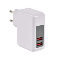 ERARD CHARGEUR USB sur Secteur 230V - 5V/2.4A (Smart Charge) + 1A ERARD - 8203