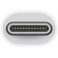 Adaptateur de câble Apple Thunderbolt 3 USB C vers Thunderbolt 2 Blanc
