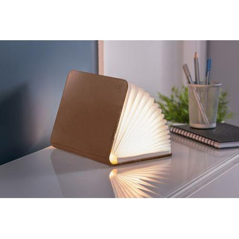 Ginko Mini Smart Book Light Bruin