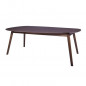 JASON Set de 2 Tables basses - Imitation bois - L 120 x P 70 x H 43 cm