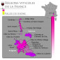 La Fiole du Pape  Chateauneuf du Pape - Vin rouge de la Vallee du Rhone