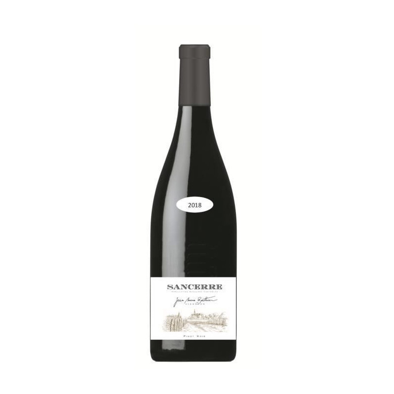 Jean Marie Berthier 2018 Sancerre - Vin rouge de Loire