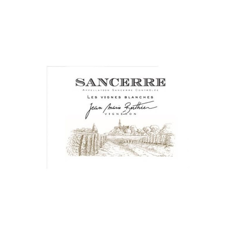 Jean Marie Berthier 2018 Sancerre - Vin rouge de Loire