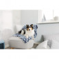 TRIXIE Couverture Tammy 100 x 70 cm - Bleu et beige - Pour chien