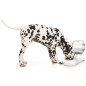 M-PETS Distributeur deau Cylinder - 3500ml - Blanc - Pour chien