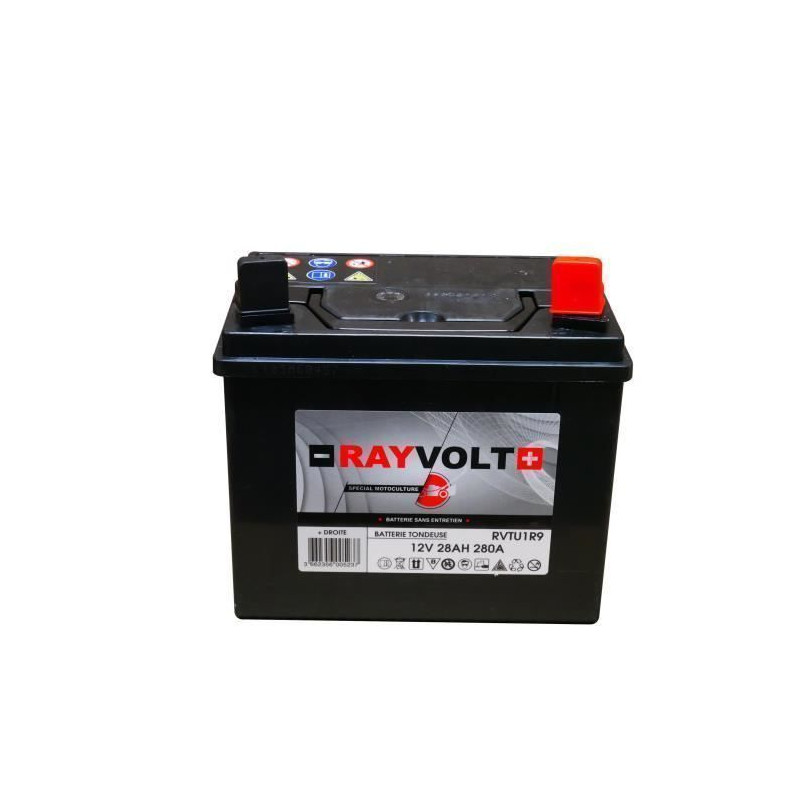 Batterie tondeuse RAYVOLT UR19 28AH 280A + a droite