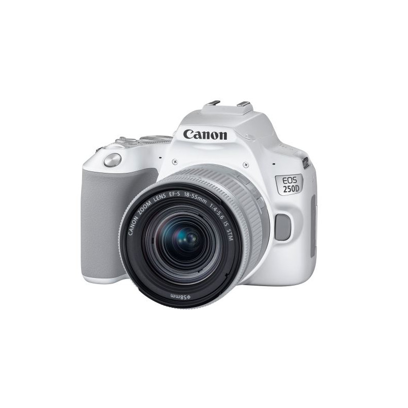 Reflex Canon EOS 250D Blanc + Objectif EF S 18 55 mm f 4 5.6 IS STM