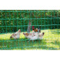KERBL Filet pour les poules 25 m - 106 cm - double pointe - vert - non électrique