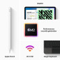 Apple - iPad Pro (2022) - 12.9 - WiFi + Cellular - 2 To - Gris Sidéral