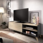 Meuble TV NESS - 1 abattant 2 niches - Décor graphite et Chene - L 155 x P 43 x H 47 cm
