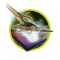 CLEMENTONI Archeo Ludic - Pteranodon Phosphorescent - Science + Jeu