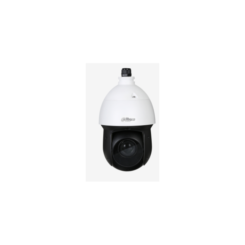 Caméra de surveillance DAHUA SD49225XAHNRS2