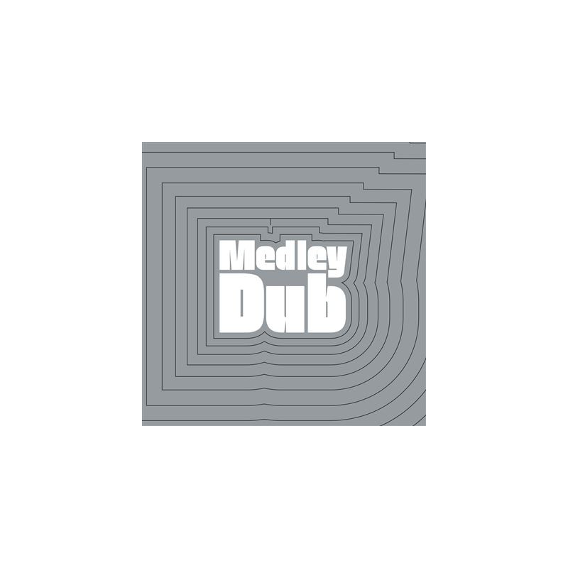 Medley Dub Mixed By Errol Brown Vinyle Orange