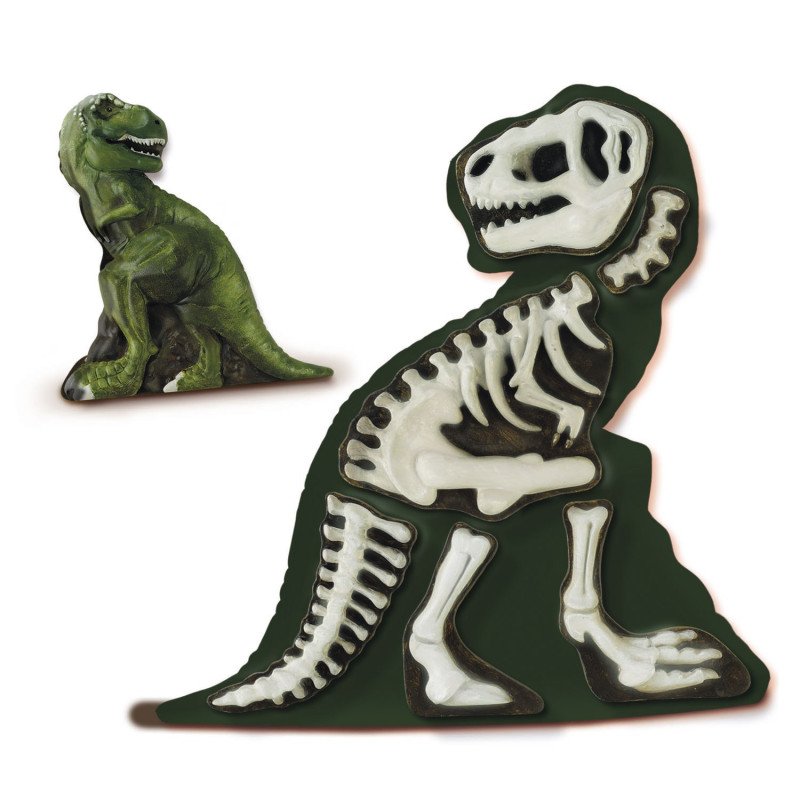 SES Moulage et peinture - T-Rex avec squelette