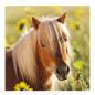 RAVENSBURGER Cute Ponies, 3x49st.