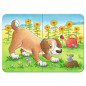RAVENSBURGER Cute pets puzzle, 4 in 1