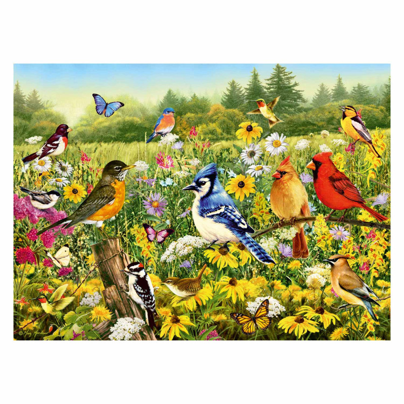 Ravensburger - Puzzle Les oiseaux 500 pièces
