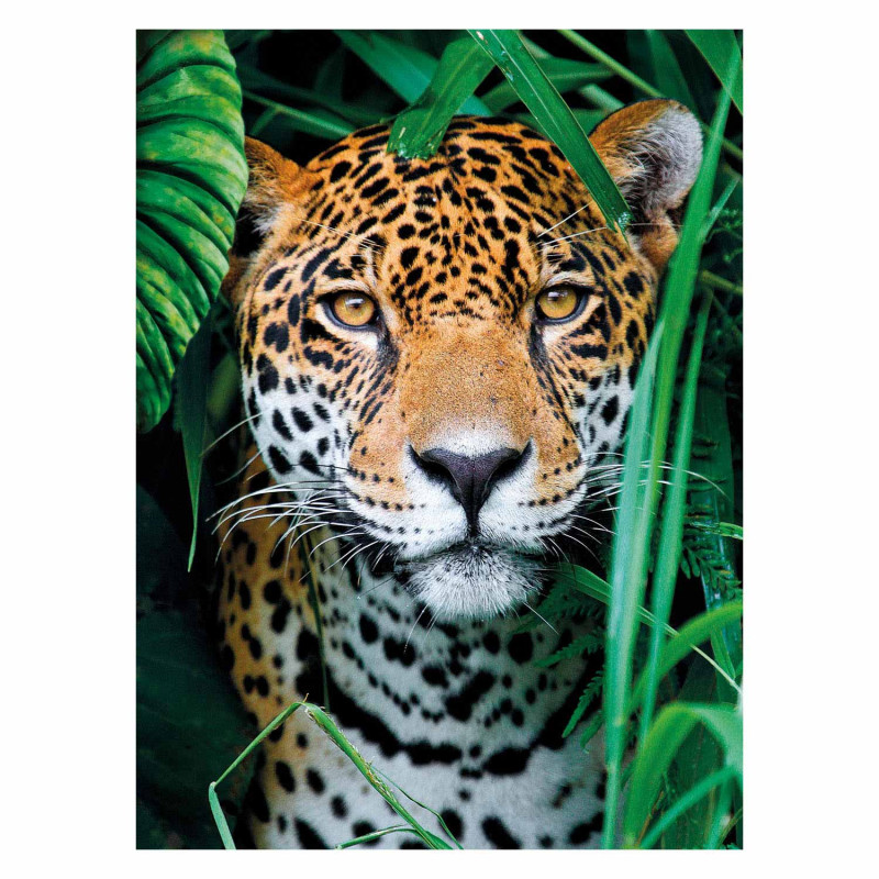 Clementoni Puzzle Jaguar dans la Jungle 500 pièces