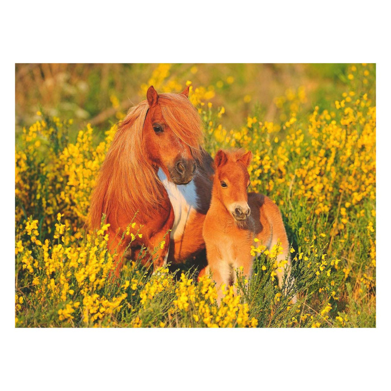 Ravensburger - Shetland ponies, 100pcs. XXL 132836