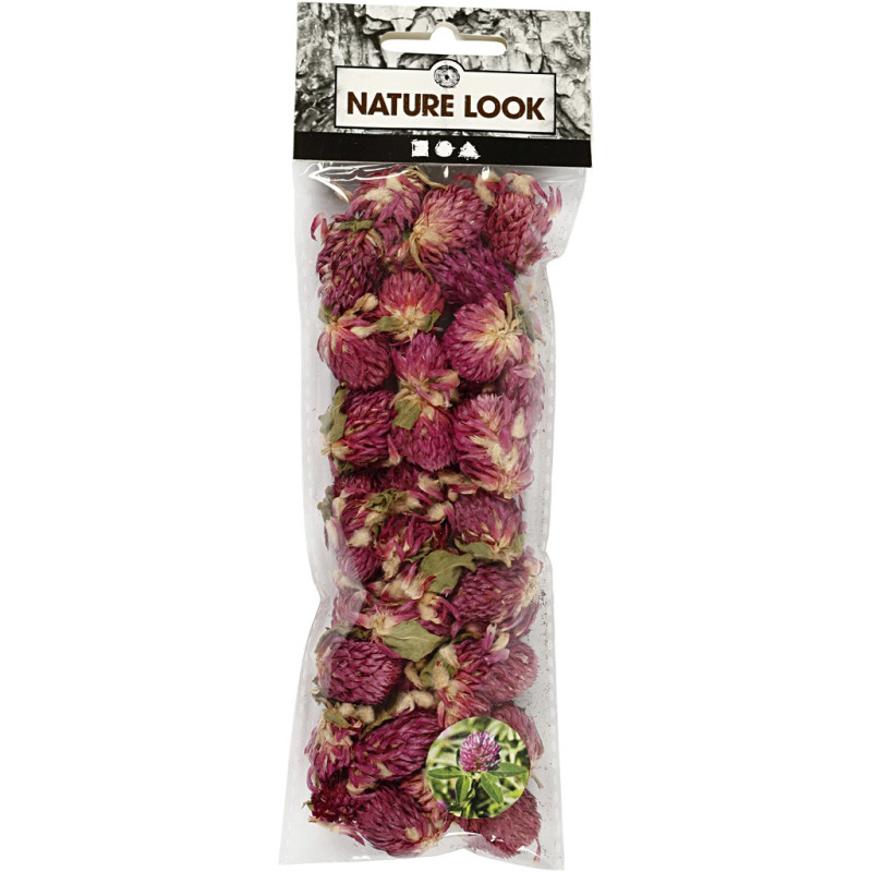 Creativ Company - Dried Flowers Red Clover Purple, 15gr 709502