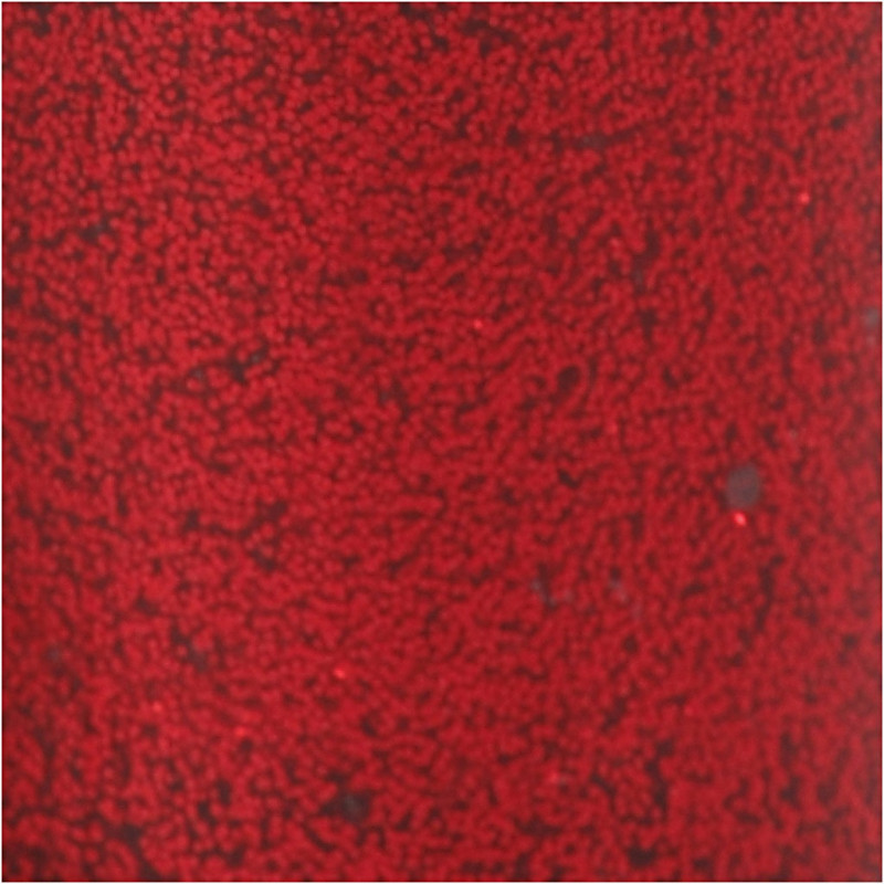 Creativ Company - Glitter Glue Red, 118ml 31822