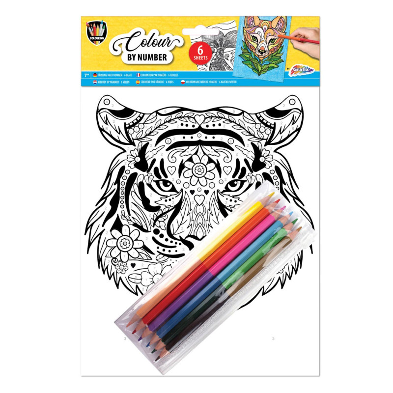 Grafix - Coloriage par nombre A4 - Lion