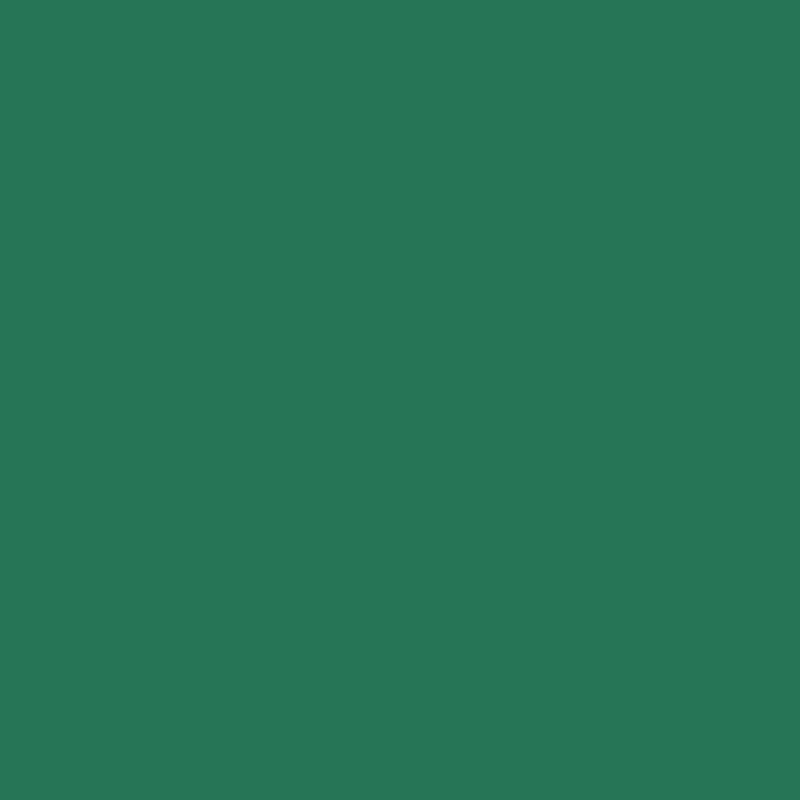 Creativ Company - Colored Cardboard Pine Green A4, 20 sheets 21124