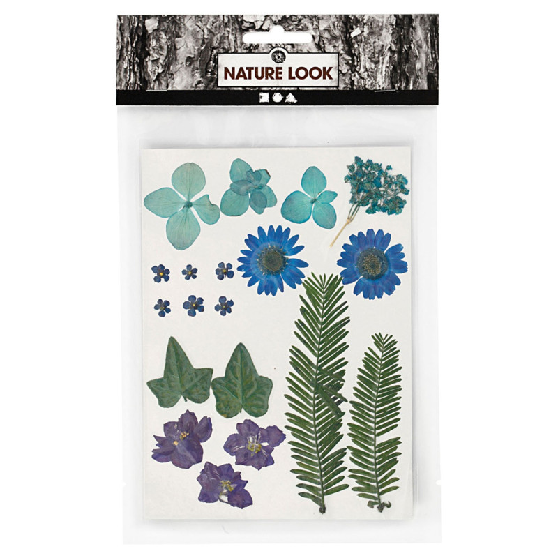 Creativ Company - Dried flowers and leaves, blue, 19 div 504472