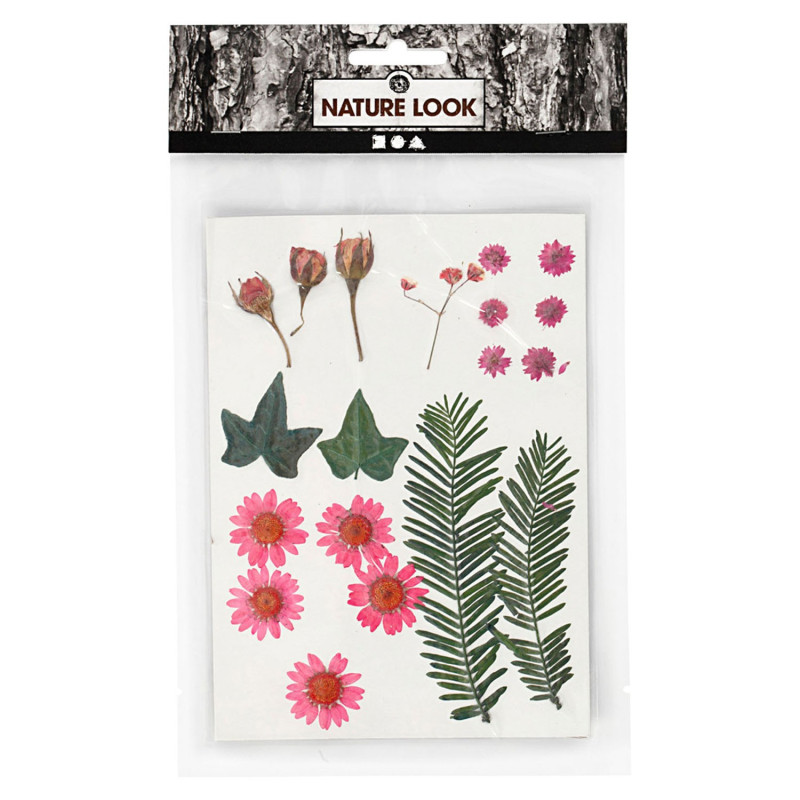 Creativ Company - Dried flowers and leaves, light red, 19 div 504471