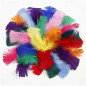 Creativ Company - Feathers in Various Colors 7-8cm, 50gr 51661