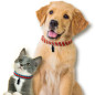 SES - Make SES Paracord Pet Collars 14784